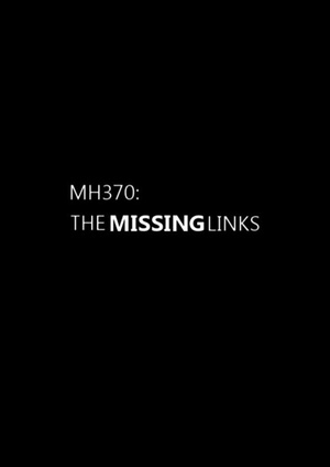 MH370：缺失的环节
