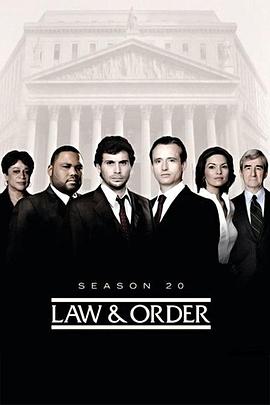 法律与秩序 第二十季