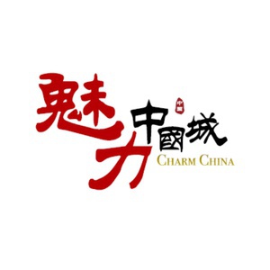 魅力中国城 第一季