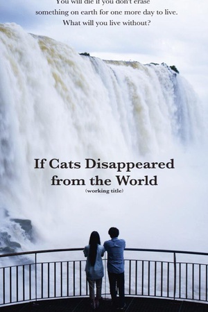 假如猫从世界上消失了