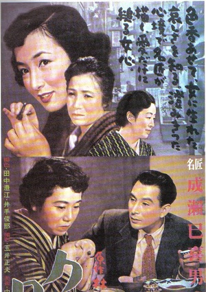 晚菊