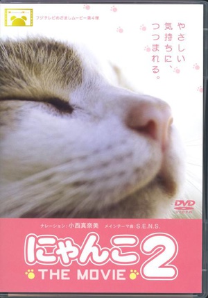 猫咪物语2