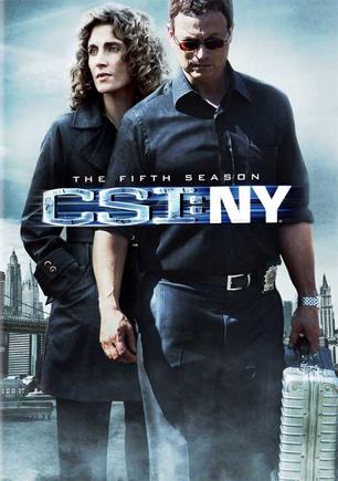 犯罪现场调查：纽约 第五季