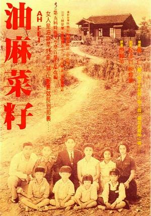 油麻菜籽