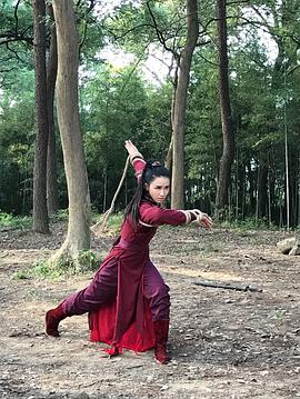 火烧红莲寺之诡盐之战