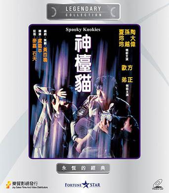 神台猫
