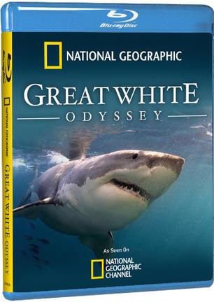 Great White Odyssey