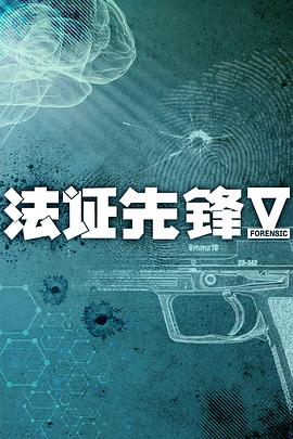 法证先锋5