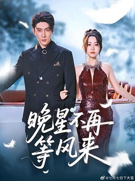晚星不再等风来
